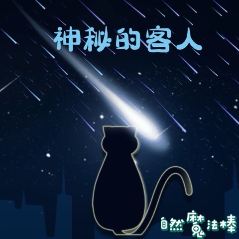 神秘的客人