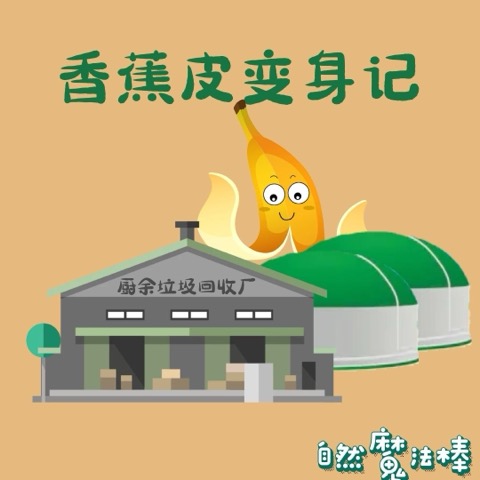 香蕉皮变身记