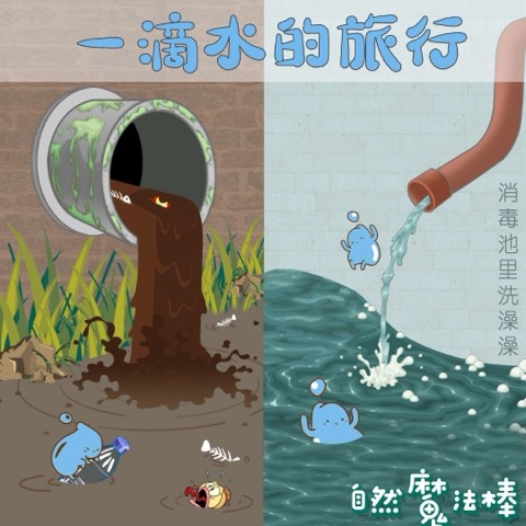 一滴水的旅行（上）