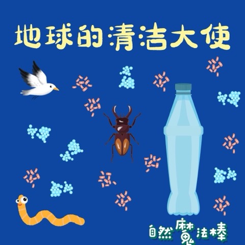 地球的清洁大使