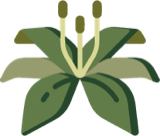 萱草标志