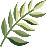 银背蕨标志